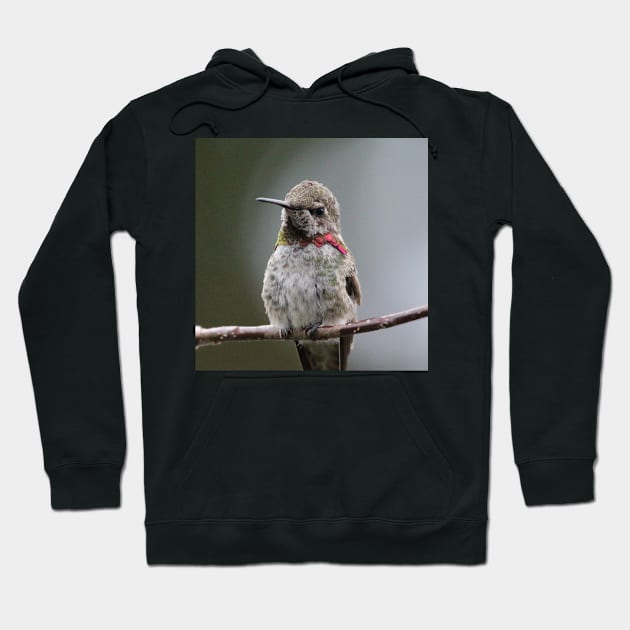 Hummingbird upclose Hoodie by SandiLin